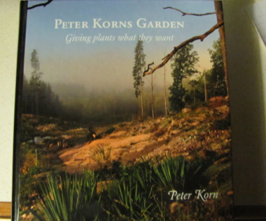 Peter Korns Garden - Giving plants what they want.